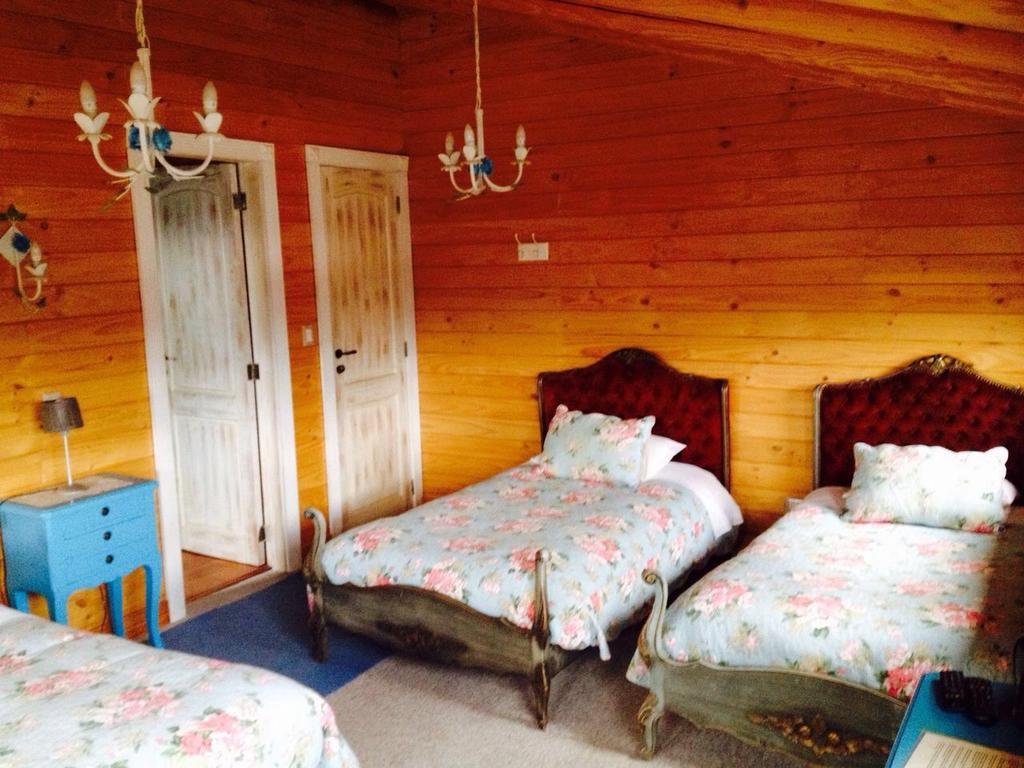 B&B De German Pucon Ngoại thất bức ảnh